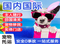 郴州北湖机场托运国际宠物托运 【国